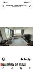 The Riverine By The Park (D12), Apartment #580739391